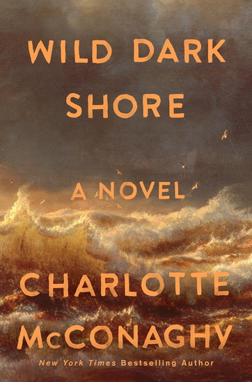 Wild Dark Shore - CHARLOTTE MCCONAGHY