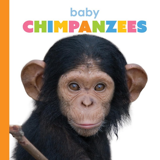 Baby Chimpanzees - MEG GREVE