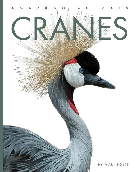 Cranes - MARI BOLTE