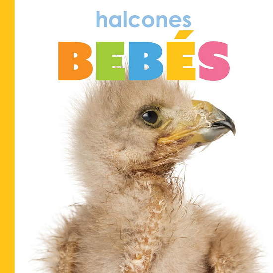 Halcones bebes - MEG GREVE