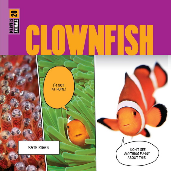 Clownfish - KATE RIGGS