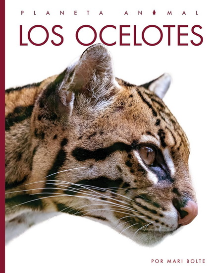 Los ocelotes - MARI BOLTE