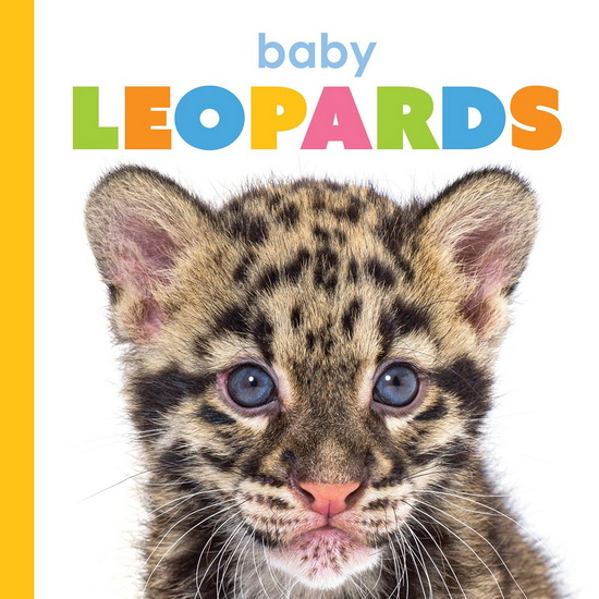 Baby Leopards - MEG GREVE