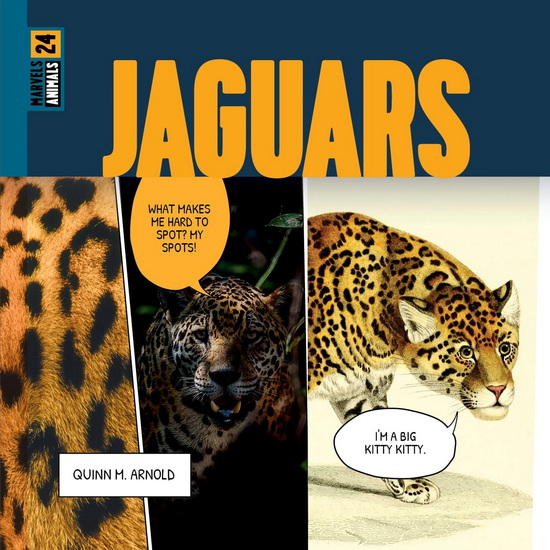 Jaguars - QUINN M ARNOLD