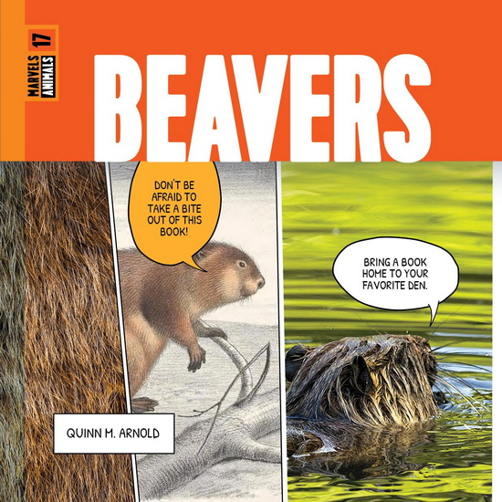 Beavers - QUINN M ARNOLD