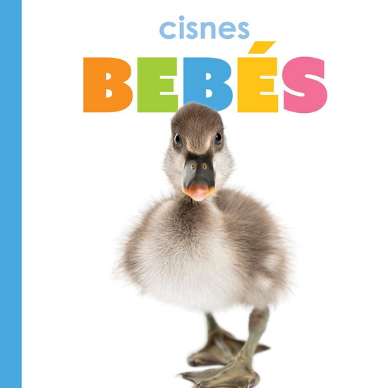 Cisnes bebes - MEG GREVE