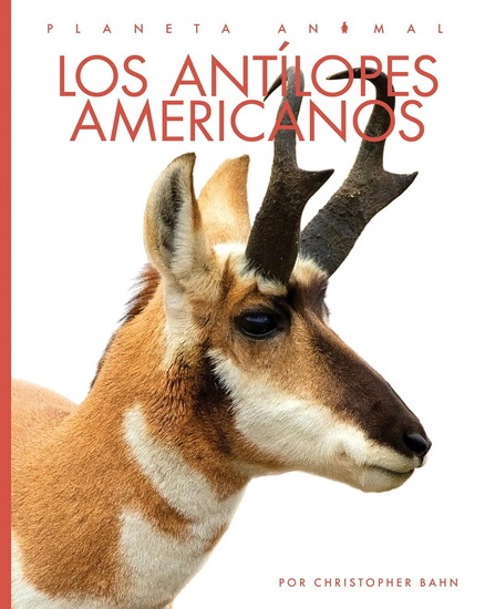 Los antilopes americanos - CHRISTOPHER BAHN