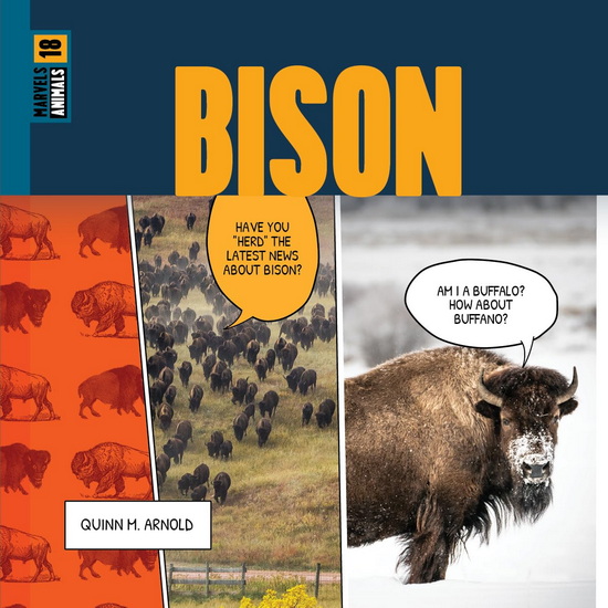 Bison - QUINN M ARNOLD