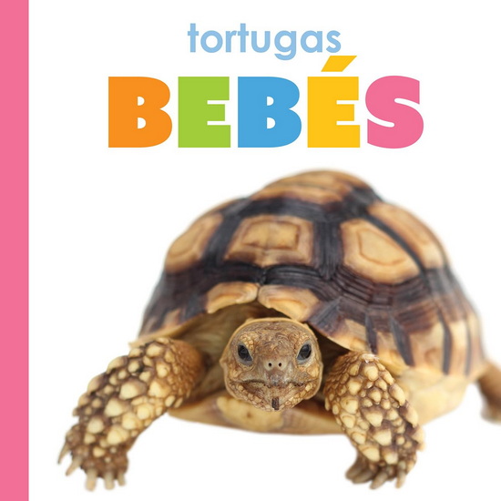 Tortugas bebes - MEG GREVE
