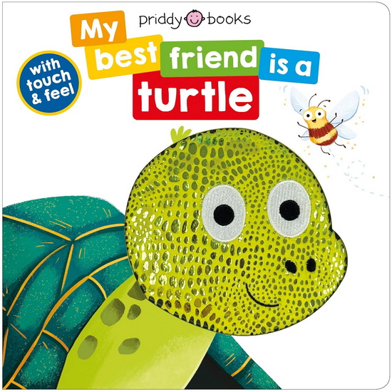 My Best Friend Is A Turtle - COLLECTIF