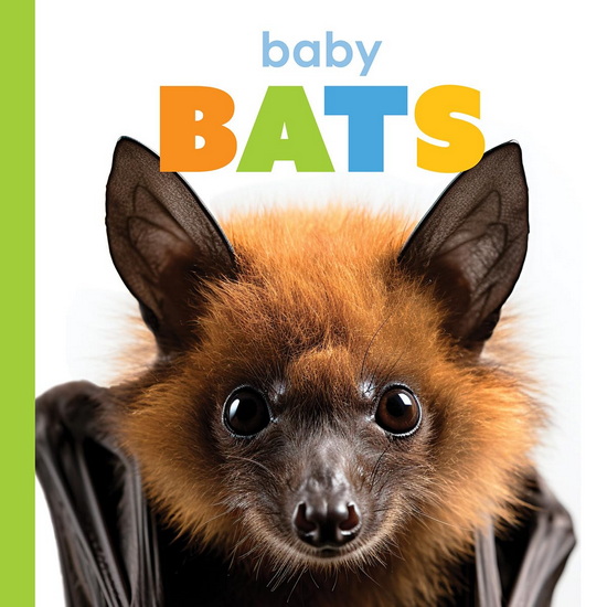 Baby Bats - MEG GREVE