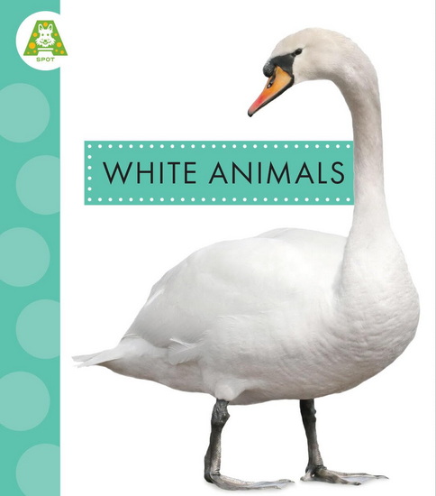 White Animals - ANASTASIA SUEN