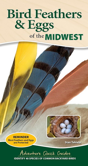 Bird Feathers & Eggs of the Midwest: Identify 40 Species of Common Backyard Birds - STAN TEKIELA