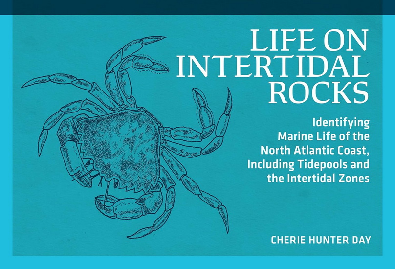 Life on Intertidal Rocks: Identifying Marine Life of the North Atlantic Coast, Including Tidepools and Intertidal Zone - CHERIE HUNTER DAY