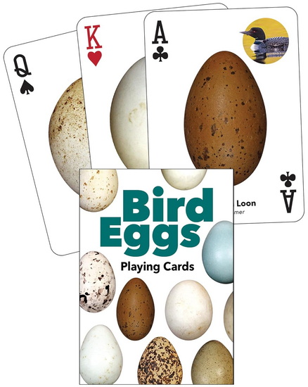 Bird Eggs Playing Cards - COLLECTIF