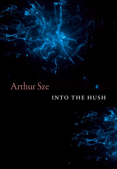 Into the Hush - ARTHUR SZE