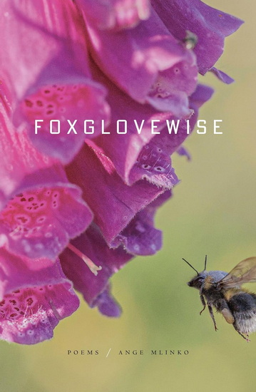Foxglovewise - ANGE MLINKO