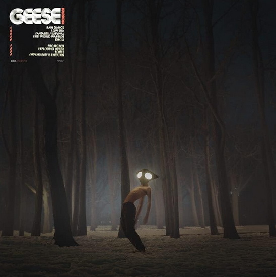 Projector (Vinyle) - GEESE