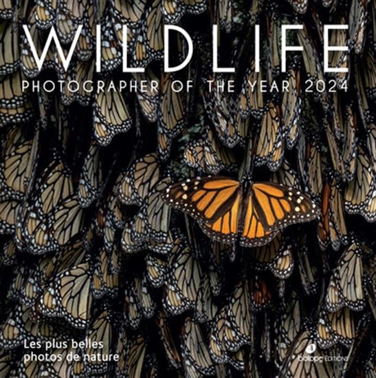 Wildlife photographer of the year 2024 : les plus belles photos de nature - COLLECTIF