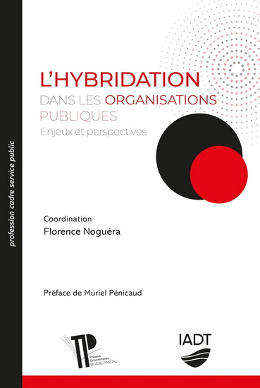 L&#39;Hybridation dans les organisations publiques : enjeux et perspectives - FLORENCE NOGUÉRA & AL