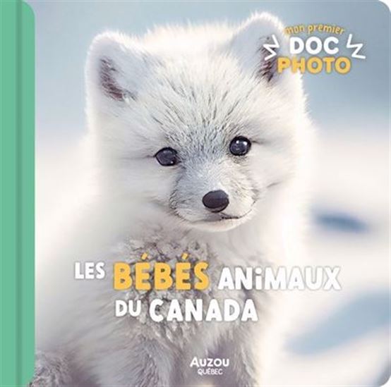 Les Bébés animaux du Canada - SYLVIE ROBERGE