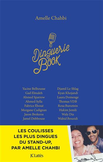 Dinguerie book - AMELLE CHAHBI