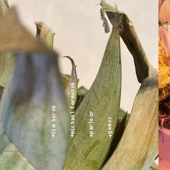 Parlour Games - MICHAEL TIM FORMANEK BERNE