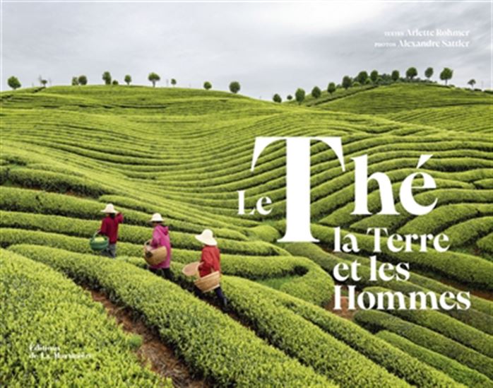 Le Thé, la terre et les hommes - ARLETTE ROHMER