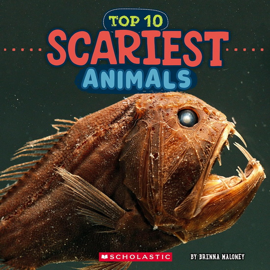 Top 10 Scariest Animals (Wild World) - BRENNA MALONEY