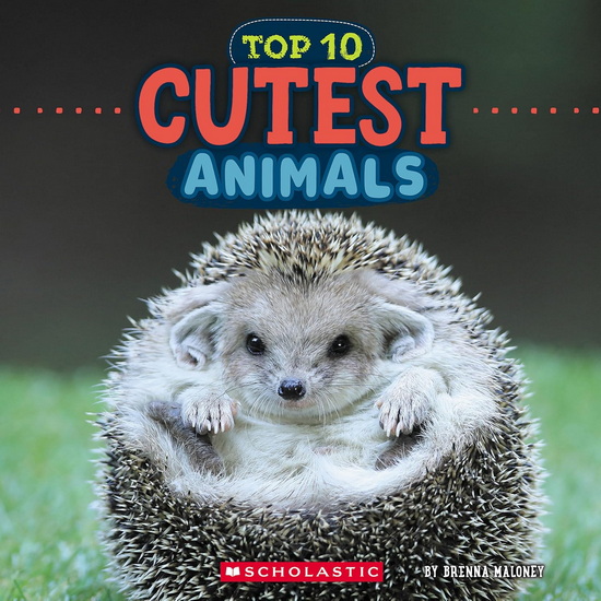 Top 10 Cutest Animals (Wild World) - BRENNA MALONEY