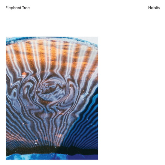 Handful Of Ten - ELEPHANT TREE