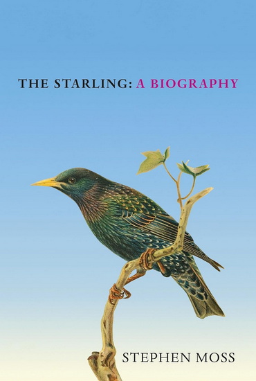 The Starling - STEPHEN MOSS