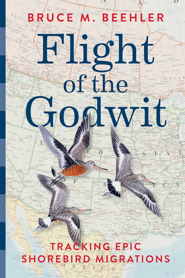 Flight of the Godwit: Tracking Epic Shorebird Migrations - BRUCE M BEEHLER - ALAN T MESSER
