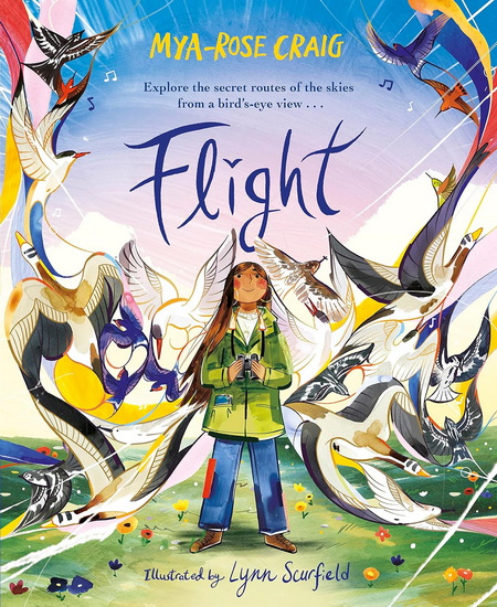 Flight: Explore the secret routes of the skies from a bird&#39;s-eye view - MYA-ROSE CRAIG