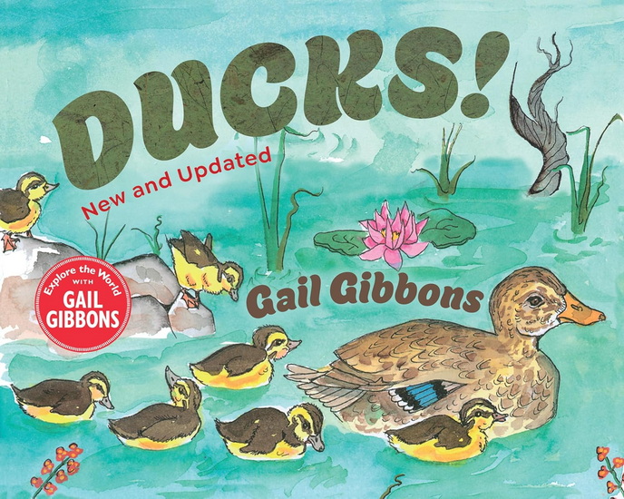 Ducks! (New & Updated) - GAIL GIBBONS