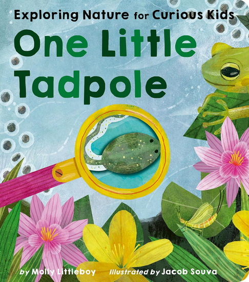One Little Tadpole: Exploring Nature for Curious Kids - MOLLY LITTLEBOY - JACOB SOUVA