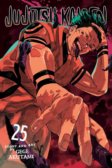 Jujutsu Kaisen, Vol. 25 - GEGE AKUTAMI