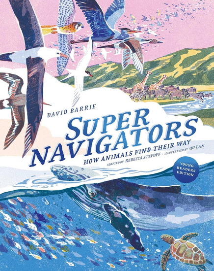 Supernavigators - DAVID BARRIE