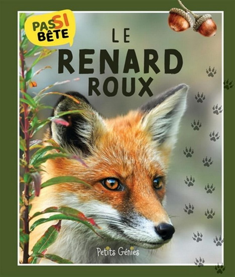 Le Renard roux - PIERRE-ALEXANDRE BONIN