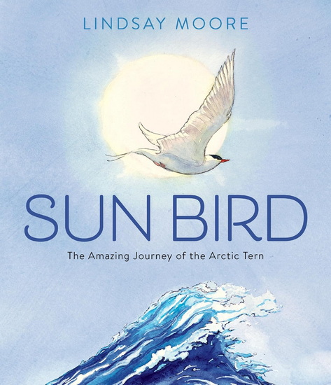Sun Bird: The Amazing Journey of the Arctic Tern - LINDSAY MOORE
