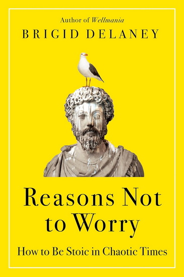 Reasons Not to Worry: How to Be Stoic in Chaotic Times - BRIGID DELANEY