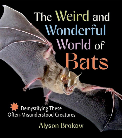 The Weird and Wonderful World of Bats: Demystifying These Often-Misunderstood Creatures - ALYSON BROKAW