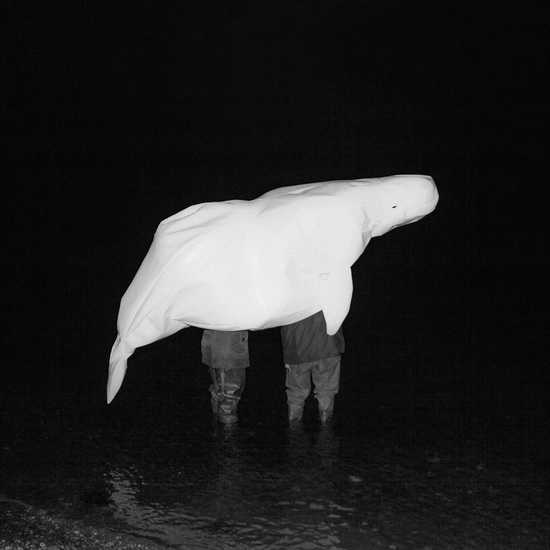 UFO Religion (Vinyle) - SAFIA NOLIN