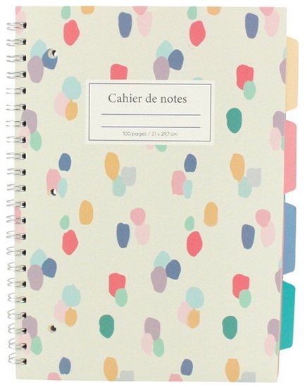 Grand cahier 4 sujets pois colorés