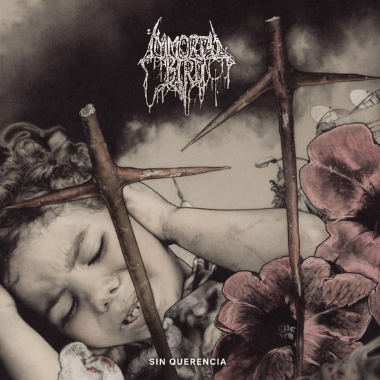 Sin Querencia (Vinyle) - IMMORTAL BIRD