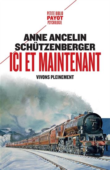Ici et maintenant : vivons pleinement - ANNE ANCELIN SCHÜTZENBERGER