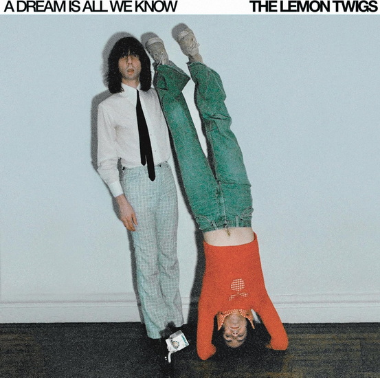A Dream Is All We Know (Vinyle - Couleur) - LEMON TWIGS