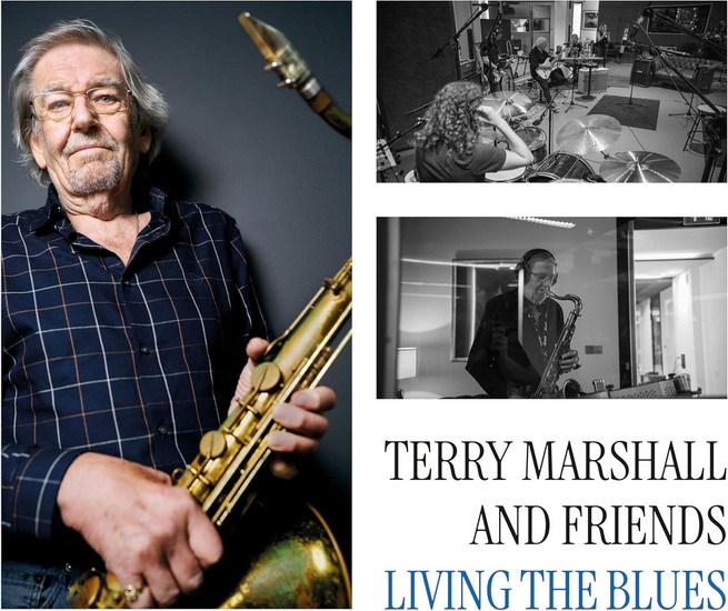 Living The Blues (Vinyle) - TERRY & FRIENDS MARSHALL