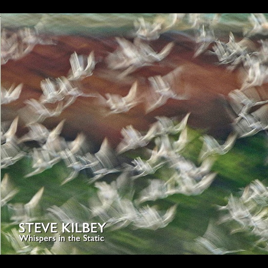 Whispers In The Static - STEVE KILBEY