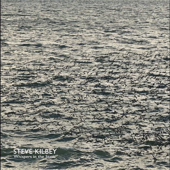 Whispers In The Static (Vinyle) - STEVE KILBEY